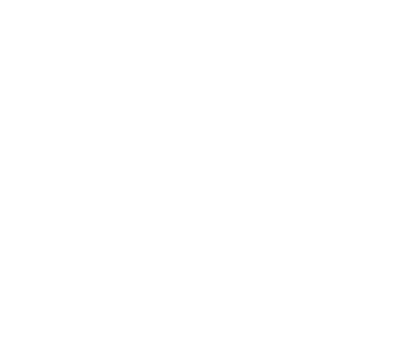 Sto-Klimapartner